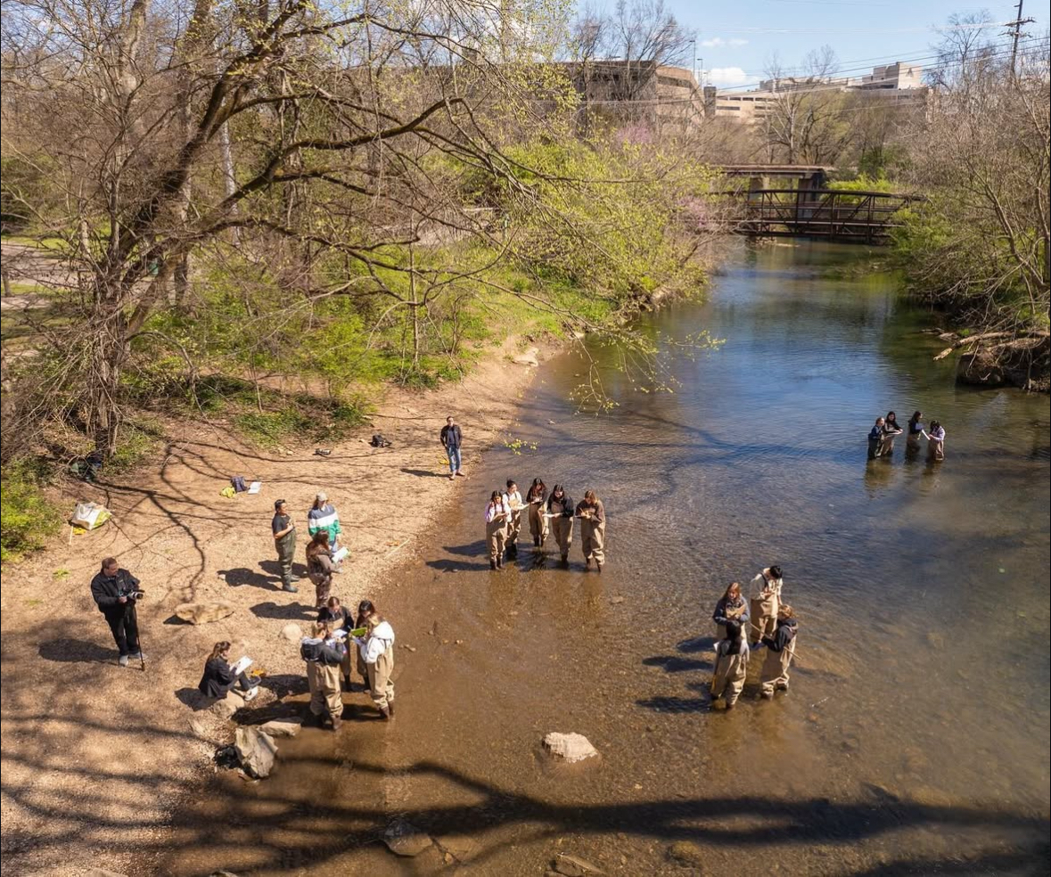 Richland Creek Drone Shot